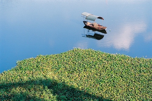 Triển lãm “Ảnh film & Hà Nội”