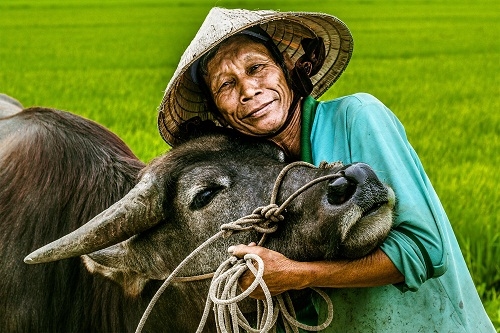 Ngày hội Nhiếp ảnh Việt Nam lần đầu tiên tại Đà Lạt 