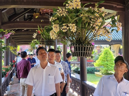 Triển lãm phong lan và cây cảnh ba miền tại Đại Nội Huế
