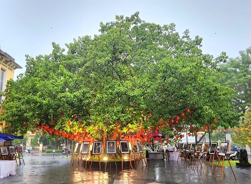 Khai mạc không gian Văn học Nghệ thuật